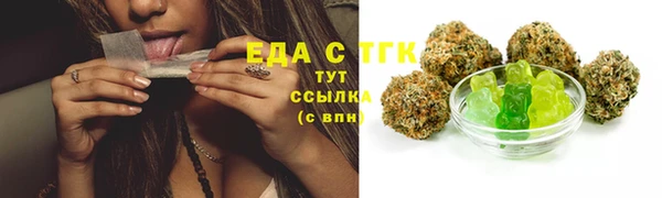стаф Новозыбков