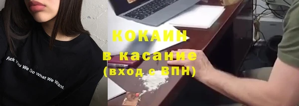 стаф Новозыбков