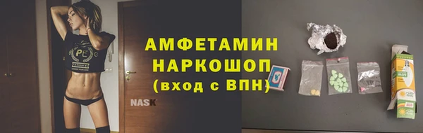 стаф Новозыбков