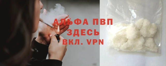 стаф Новозыбков