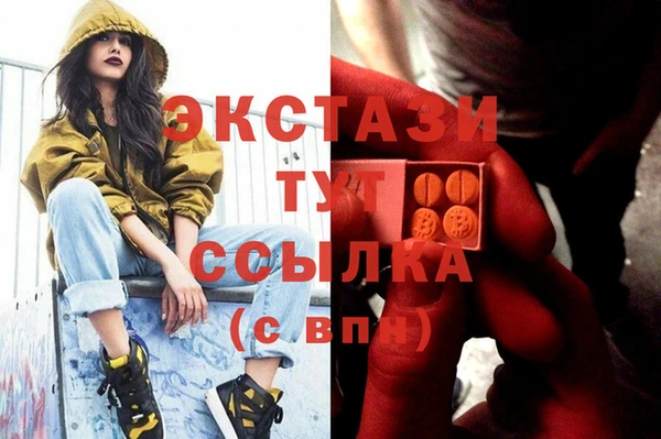 стаф Новозыбков