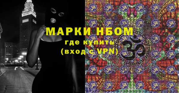 стаф Новозыбков