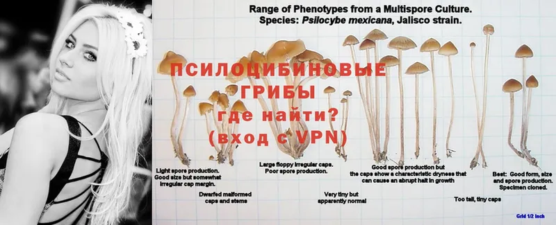 Галлюциногенные грибы Psilocybine cubensis  хочу наркоту  Уссурийск 